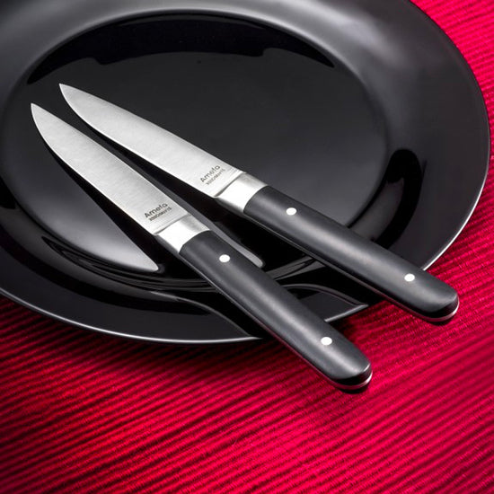 Coffret de 4 couteaux steak fusion