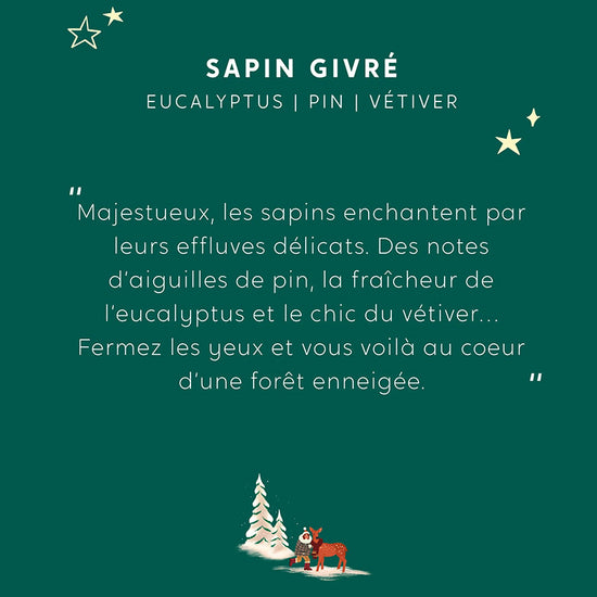 Coffret mini duo la foret sapin