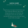 Coffret mini duo la foret sapin